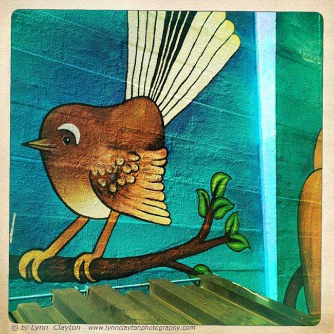 NZ Fantail Mural